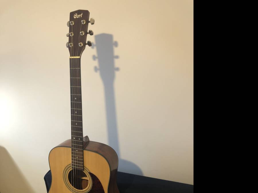 Vend Guitare CORT Earth Pack NS